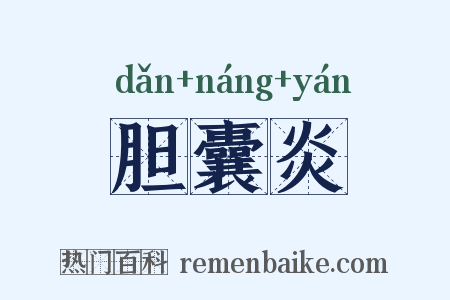 胆囊炎是什么意思的图片